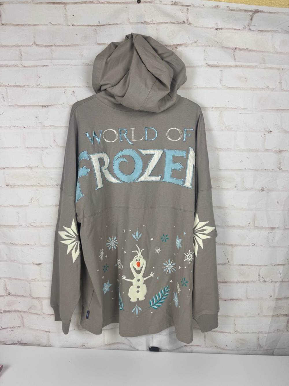 Hong Kong Disneyland Exclusive Spirit Jersey World of Frozen Hoodie for Adult